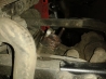 20160224_173741.jpg